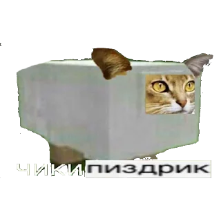 😺