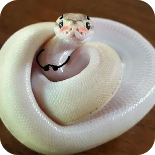 😍