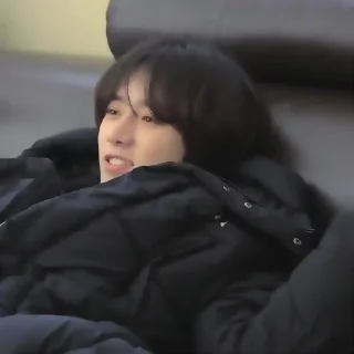 🐻