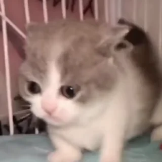 😑