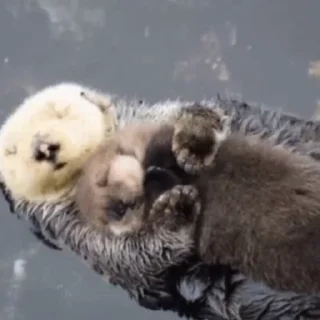 😘