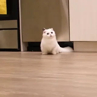 😍