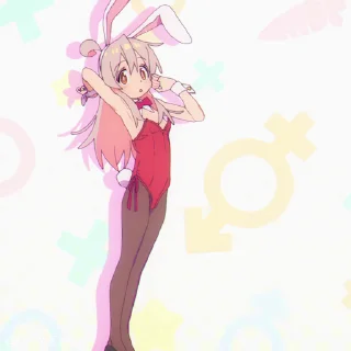🐰