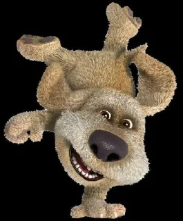 🐶