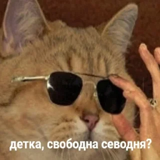 😎