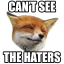 Rävar by @wellfoxxx