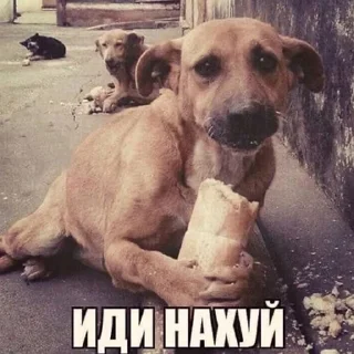 😡