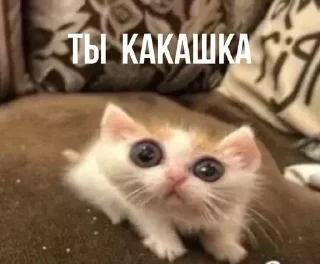 💩