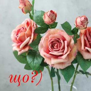 ☺️