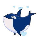 🦈