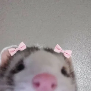 👋