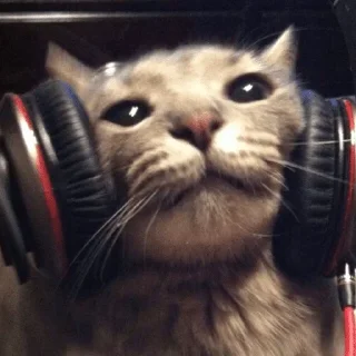 🎧