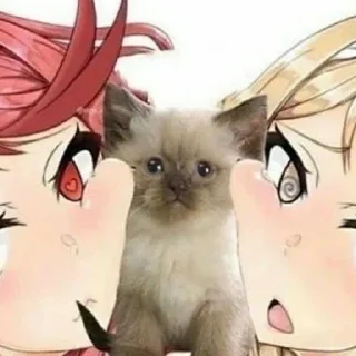 😎