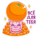 🍊