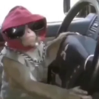 😎