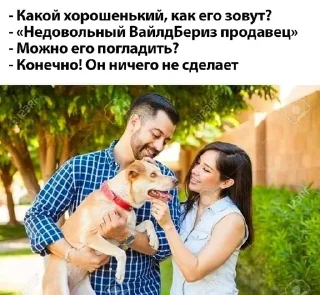 🌟
