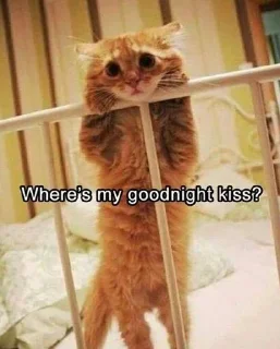 😣
