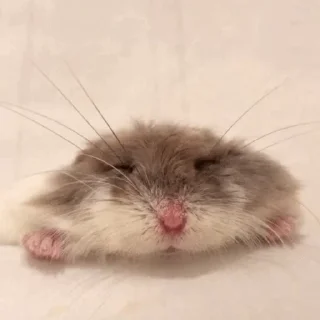 😌