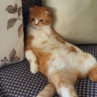 😑