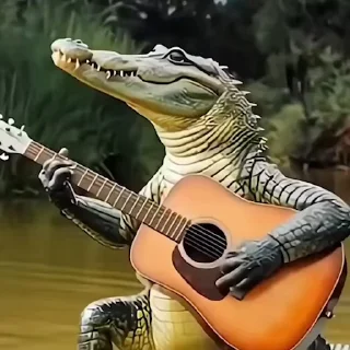 🎸