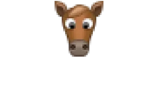 🐎