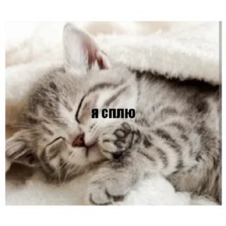 😴