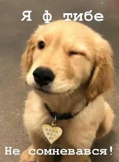 🫵