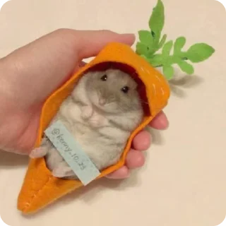 🥕