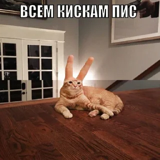 Дижитал