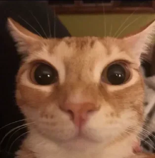 ☺️