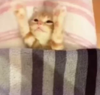 😴