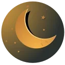 🌜