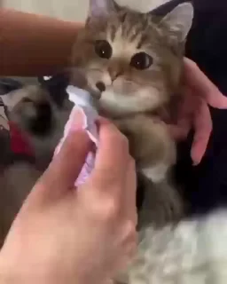 😋
