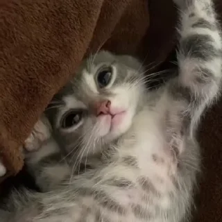 🙃