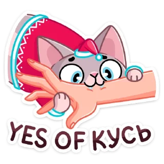 😸