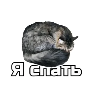 🛌