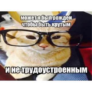 😎