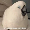 😁