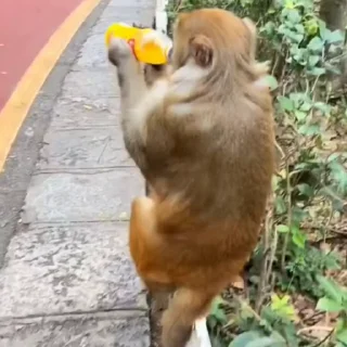 🤩
