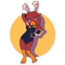 🐰