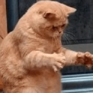 🫥