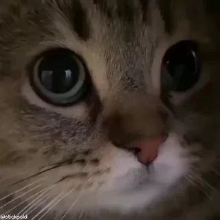 ☺️