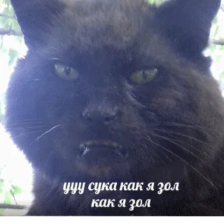 🤬