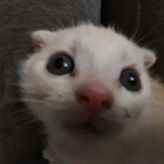 😳