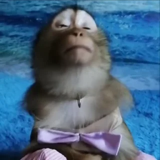 😶