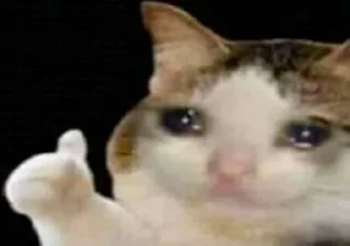 😭