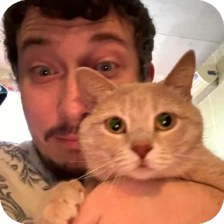 🐱