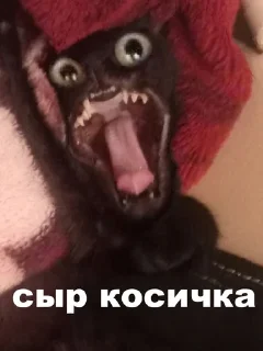 🧀