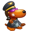 😎