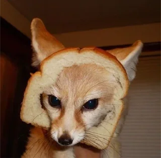 🍞